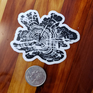 Cedar VI Sticker