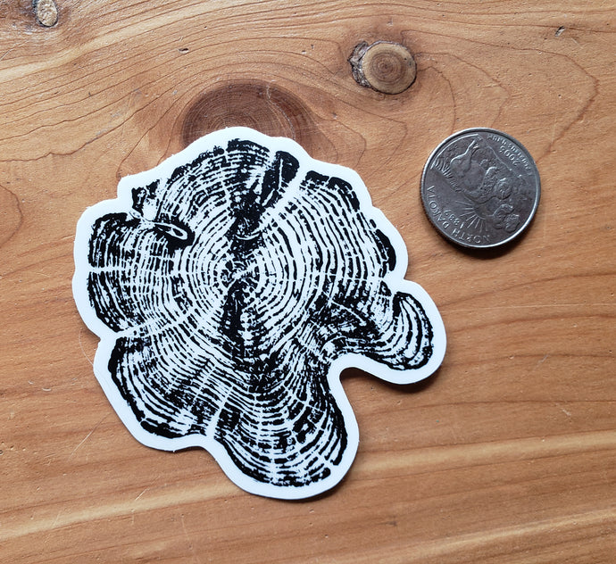 Cedar II Sticker